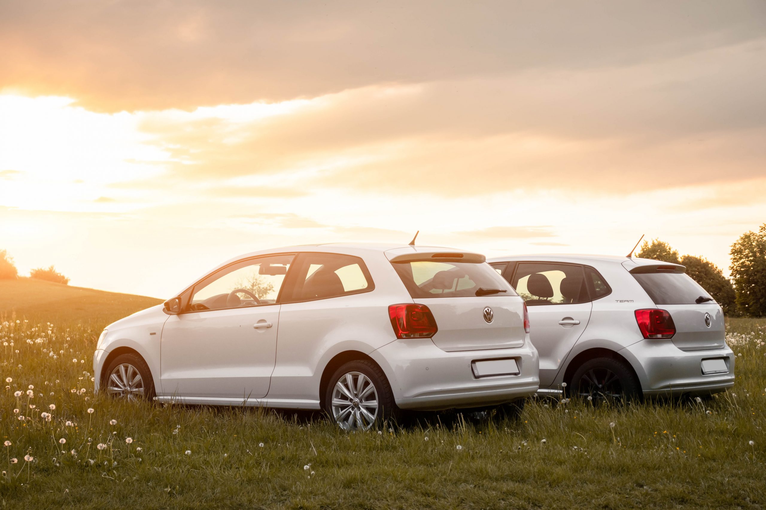 Twee Volkswagens in het gras bij zonsondergang